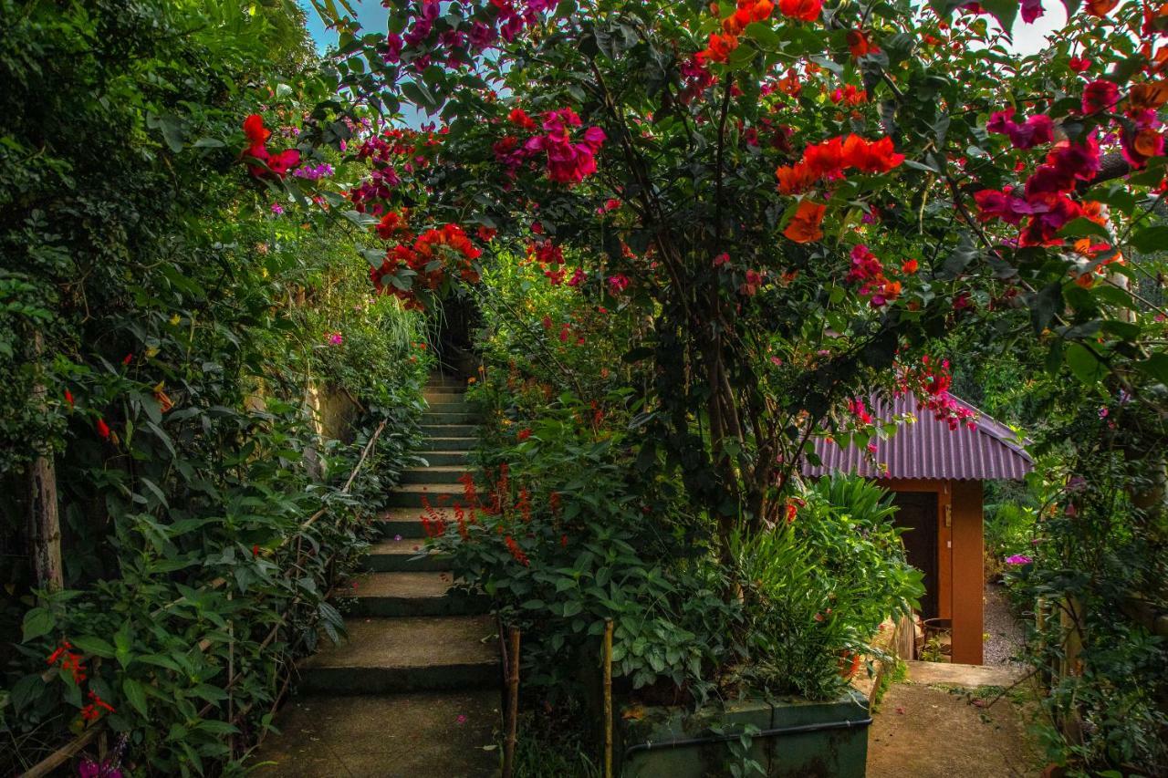 Отель Ecotones Munnar By Eden Environs Экстерьер фото