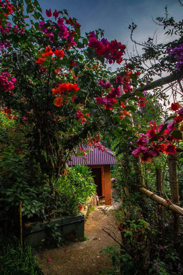 Отель Ecotones Munnar By Eden Environs Экстерьер фото